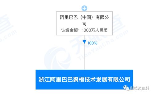 阿里巴巴成立聚橙技術(shù)，千萬元加碼信息系統(tǒng)集成服務(wù)